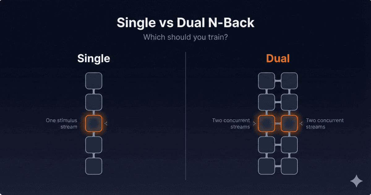Single vs Dual N-Back: Which Should You Train?